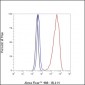 SF1 Recombinant Rabbit mAb